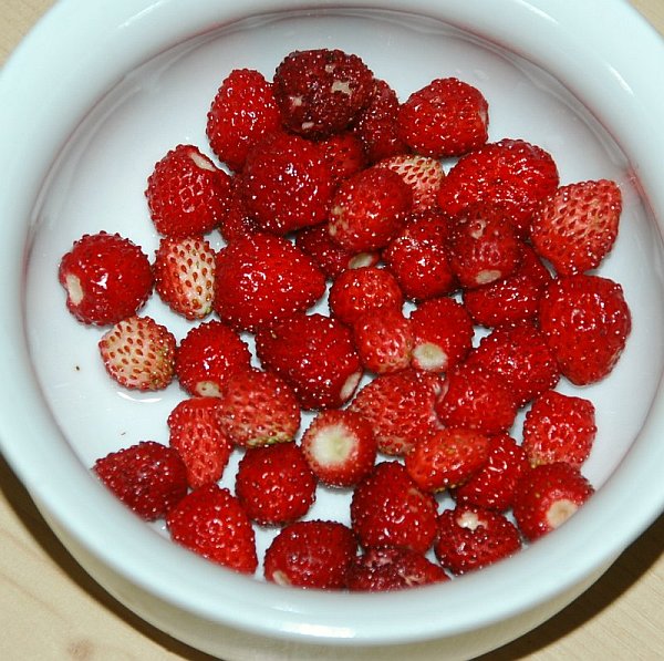 Die ersten eigenen erdbeeren