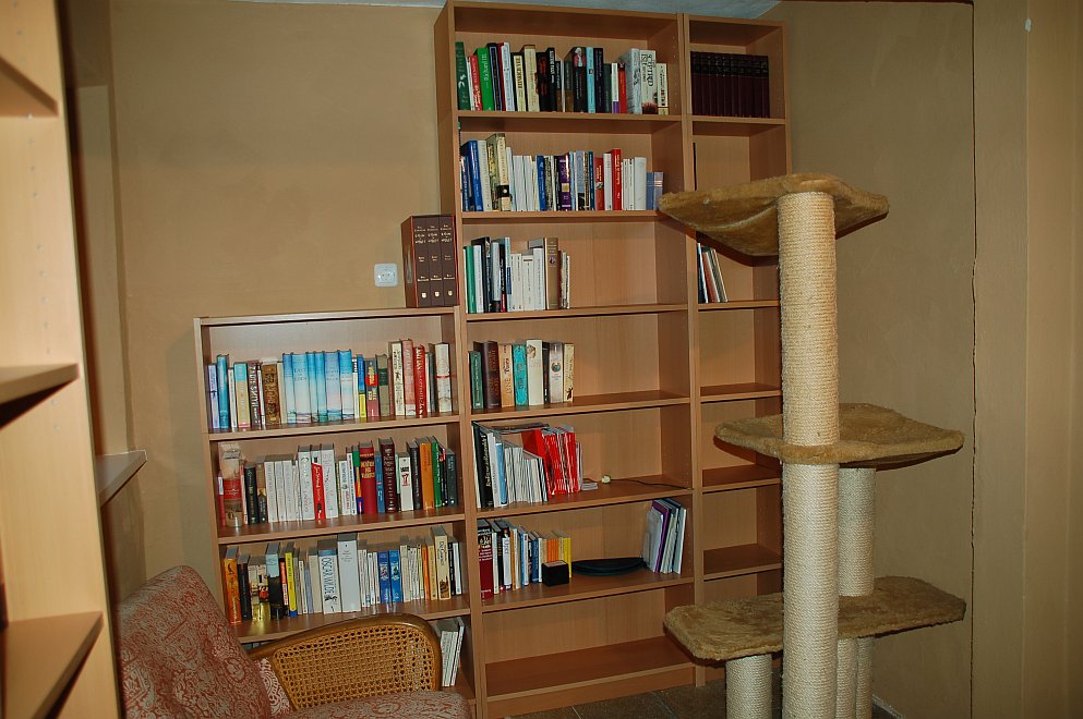 Leseecke mit Katzen